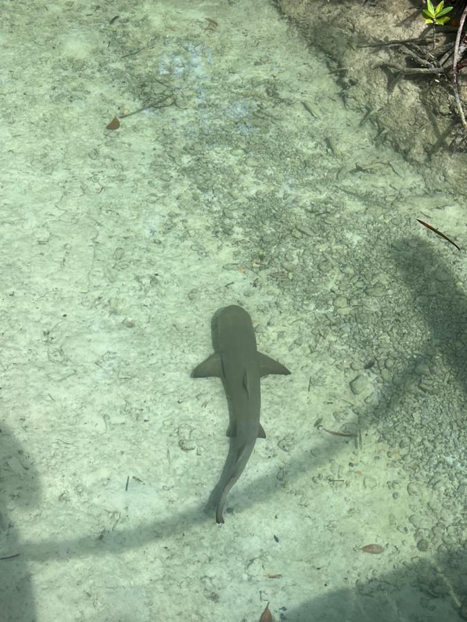 Hotel Ducassi Sol Cariba Punta Cana Zewnętrze zdjęcie
